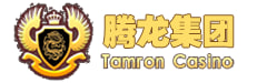 腾龙国际公司